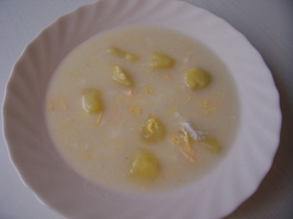Frico (polévka ze zakysané smetany)
