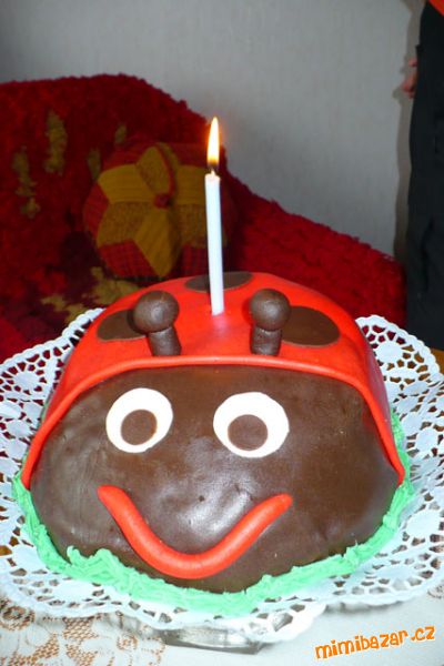 Beruška k prvním narozeninám....