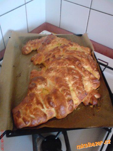 SLANÝ KROKODÝL