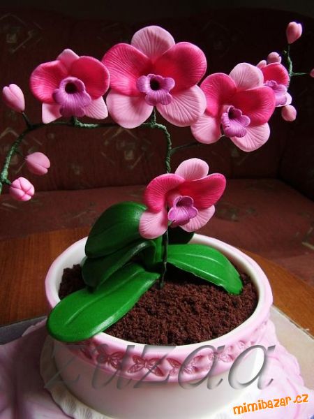 Orchidej