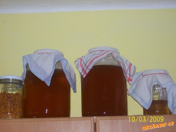 Domácí Kombucha