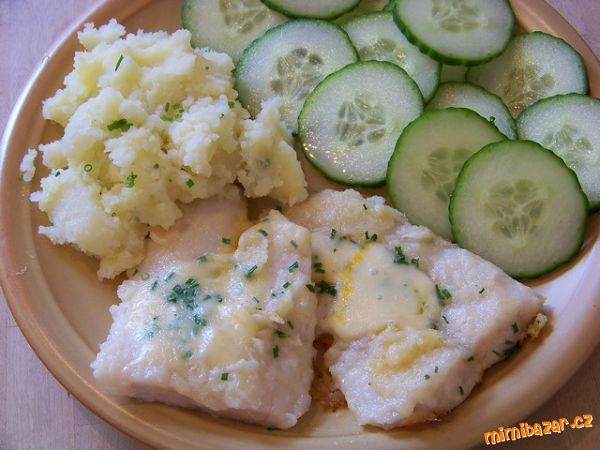 PANGASIUS na rychlý způsob