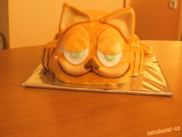 Kocour Garfield :-)