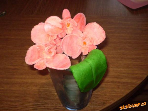 orchidej ve skle