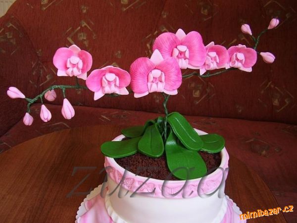 Orchidej č.4