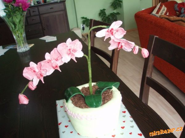 orchidej pro maminku k 6Otinám