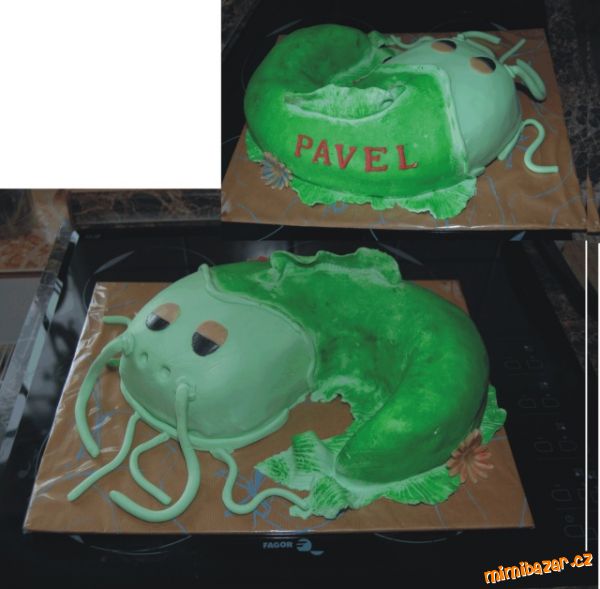 Můj první sumec (s postupem)