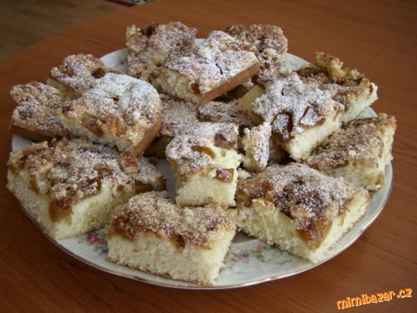 ŠLEHAČKOVÁ BUCHTA - s ovocem, RYCHLOVKA