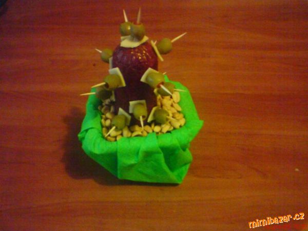 SLANÝ KAKTUS