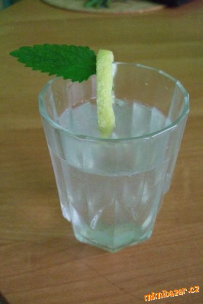 Domácí mátová limonáda