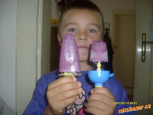 Domácí zmrzlina