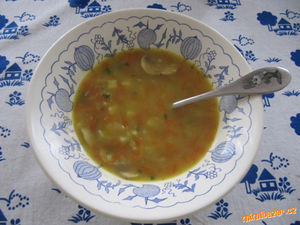 Polévka co dům dal