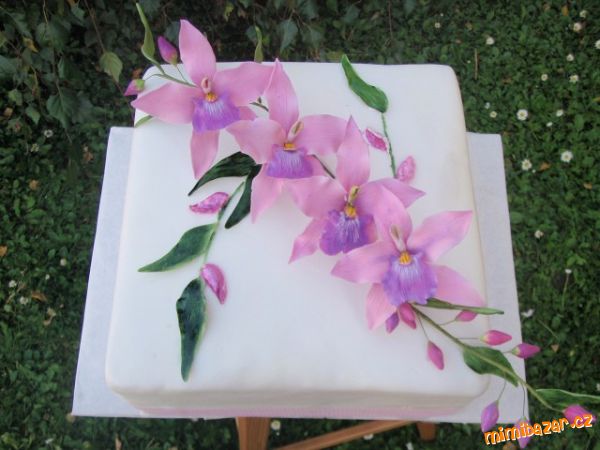 K 80 tinám-opět orchideje