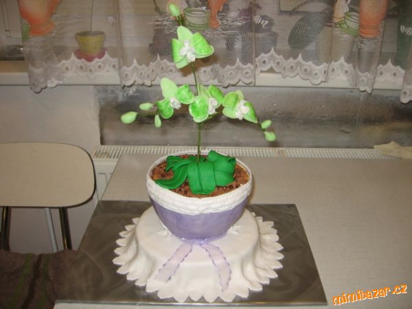 Orchidej č. 3