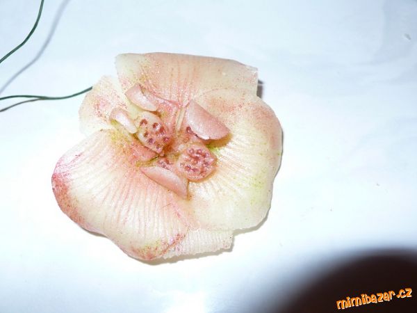 pokus o marcipánovou orchidej