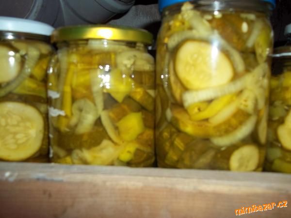 OKURKY PO AMERICKU S KOZÍMI ROHY
