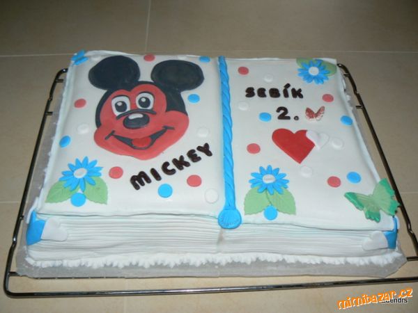 Mickey mouse kniha pro synovce