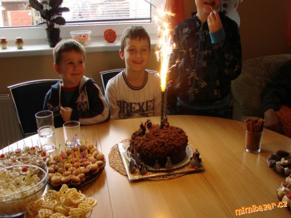 Oslava narozenin ....krtkův dort a 9 krtečků