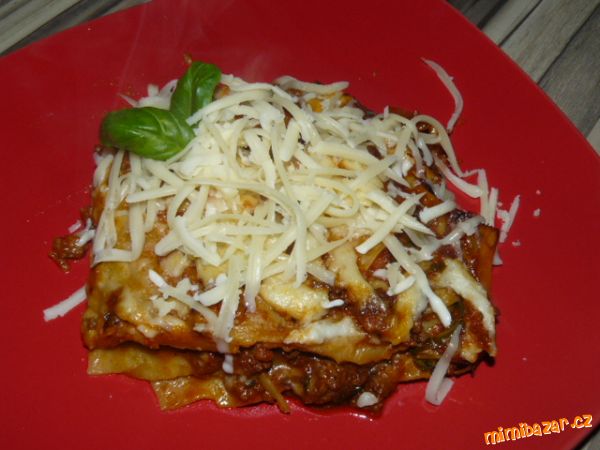 ***LASAGNE***