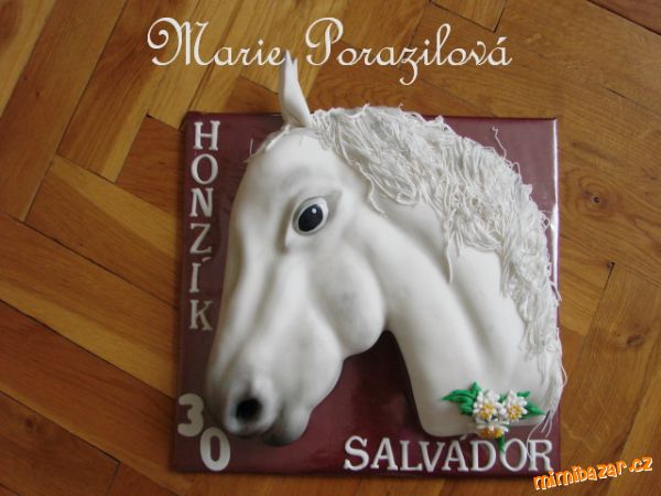 Hlava koně