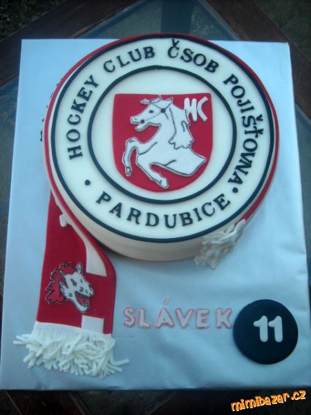 ***hokejové PARDUBICE***