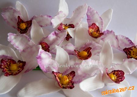 Orchidee
