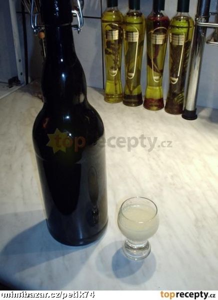 LÉČIVÝ ČISTÍCÍ CITRONOVO - ČESNEKOVÝ ZÁZRAK