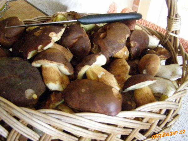 Houbičky v pekáčku