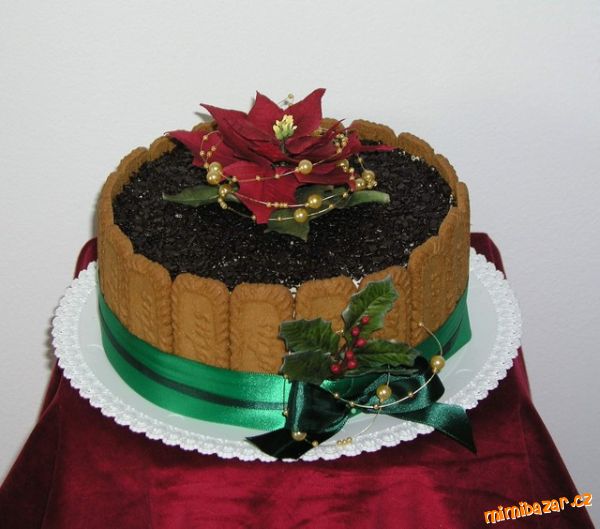 Vánoční hvězda + Mini malinový dortík