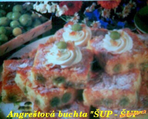 Angreštová buchta "ŠUP - ŠUP"