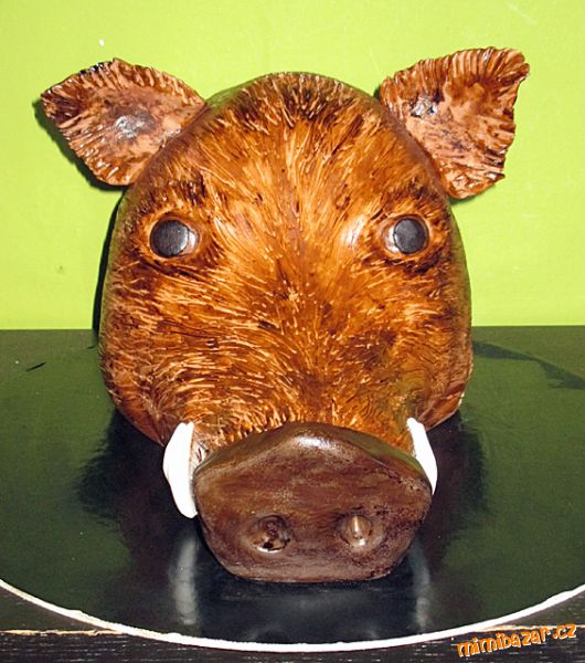 Hlava divočáka