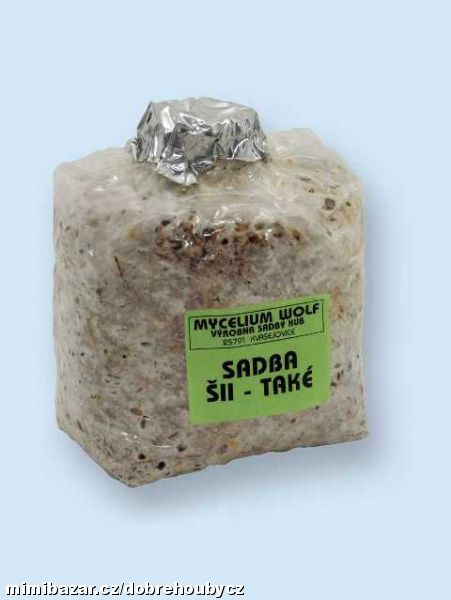 Pěstování Shii-také (houževnatec jedlý) na dřevě