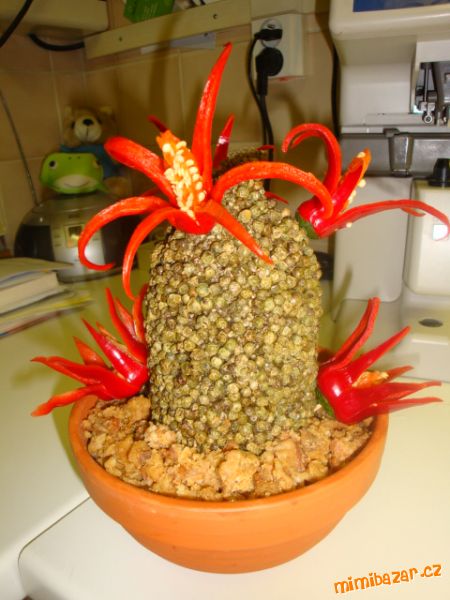 Kaktus