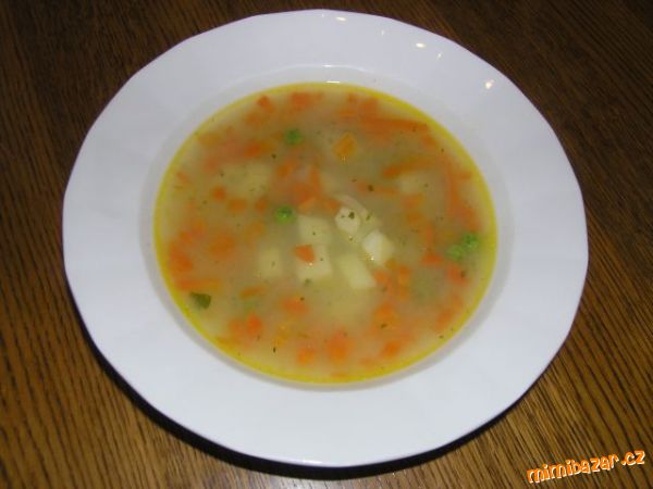 Zeleninová polévka