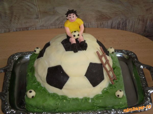 fotbalista