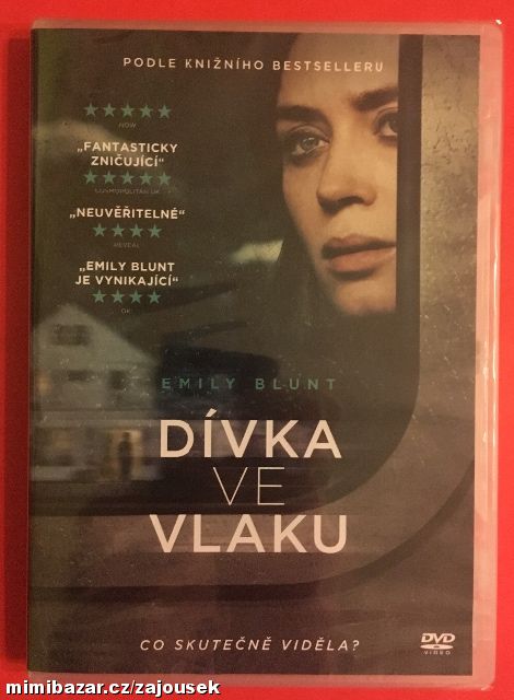 Dívka ve vlaku