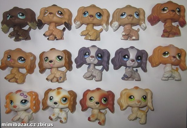 Prodám - LPS kokršpaněl, Olomouc | Mimibazar.cz