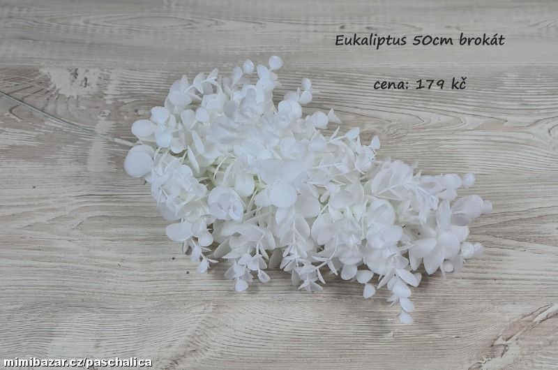 Eukaliptus 50cm brokát 124CAN518_01