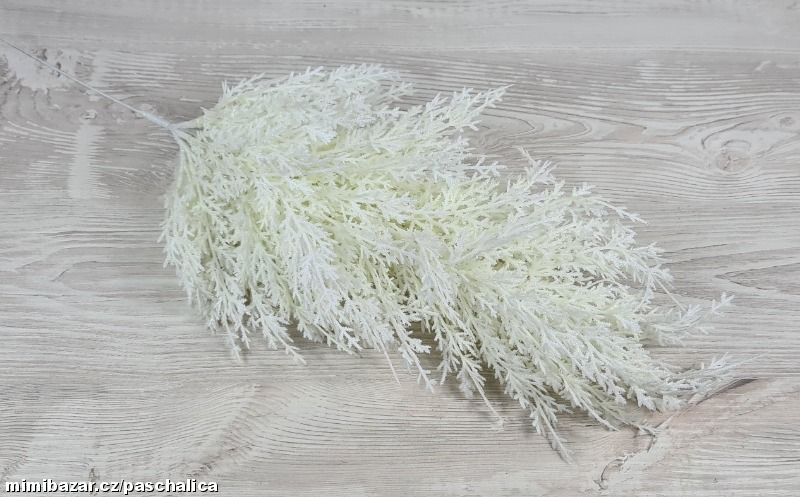 Větvička thúje brokát 55 cm 124CAN502S_01/775730