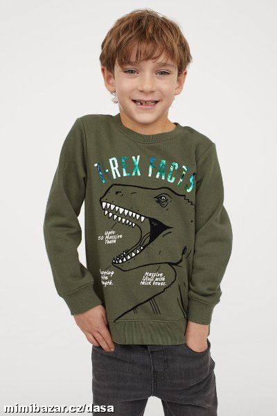 Mikina T-Rex Facts H&M