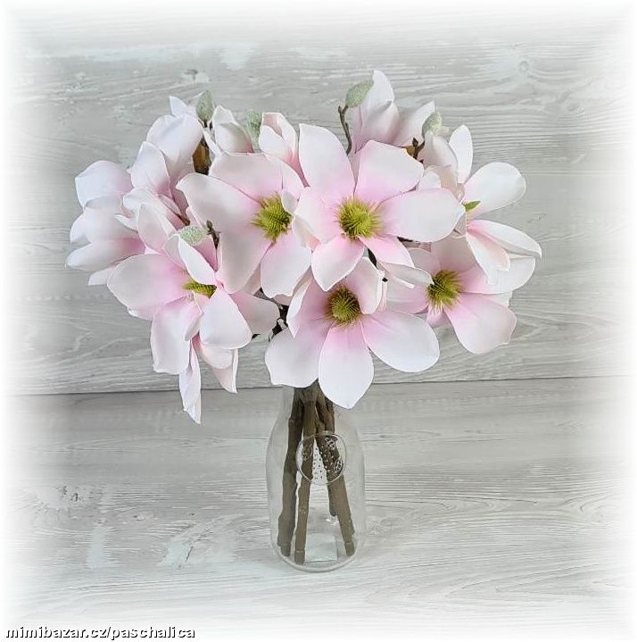 Magnolie 40 cm růžové