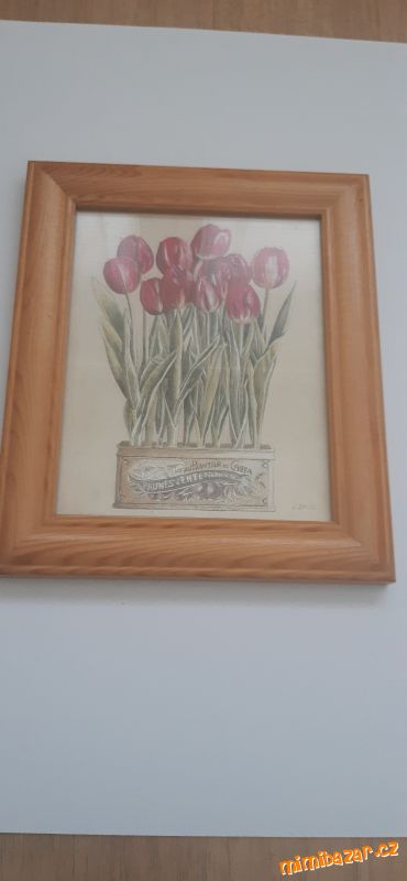 Krásný obrázek s motivem tulipánů