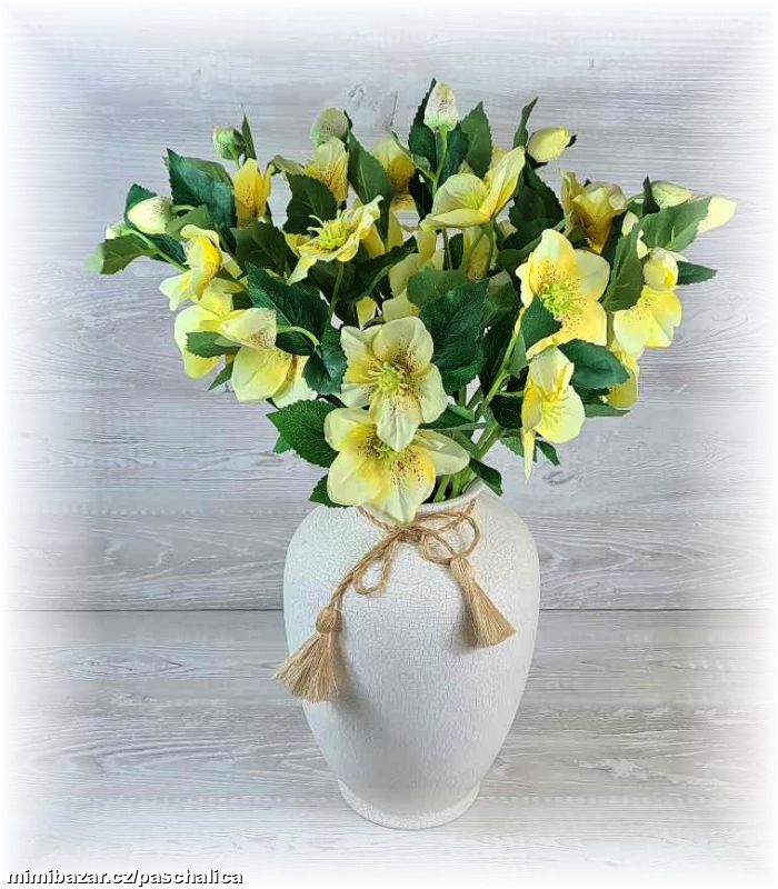 Čemeřice 3 květy 53 cm žlutá