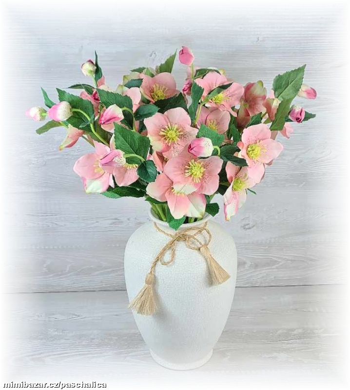 Čemeřice 3 květy 53 cm růžová