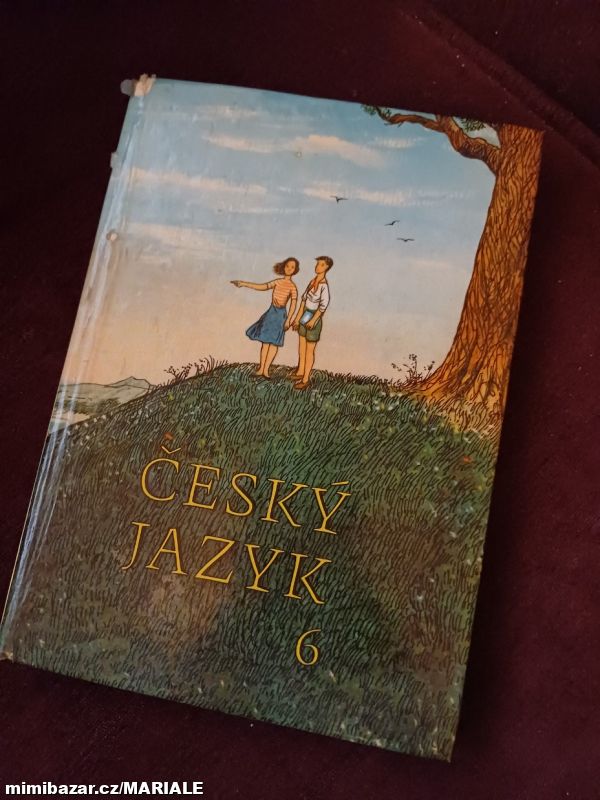 Obrázek k inzerátu: Český jazyk pro šestou třídu