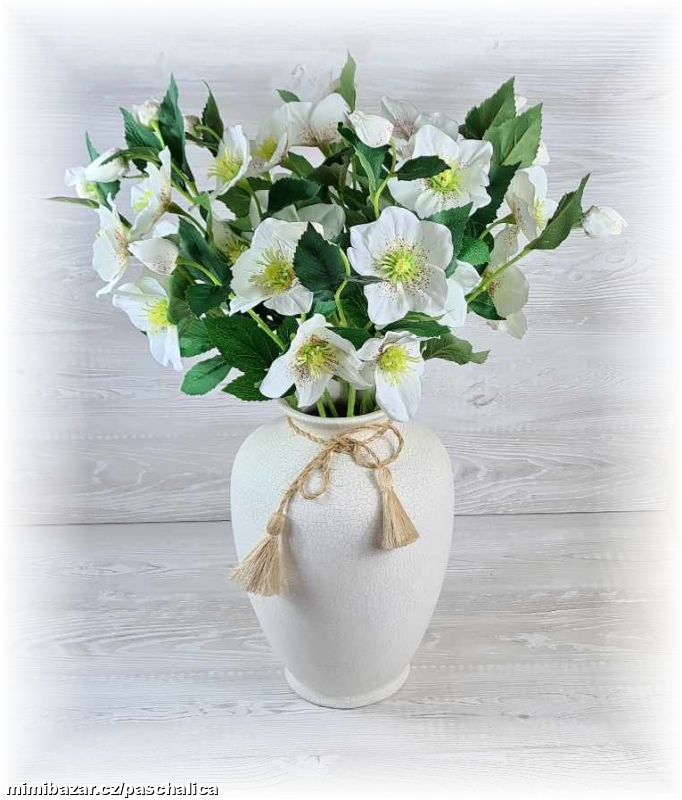 Čemeřice 3 květy 53 cm bílá