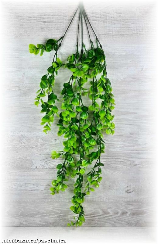 Eucalyptus závěs 80 cm