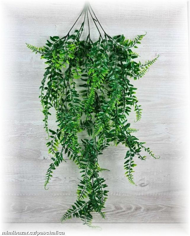 Kapradí závěs 80 cm