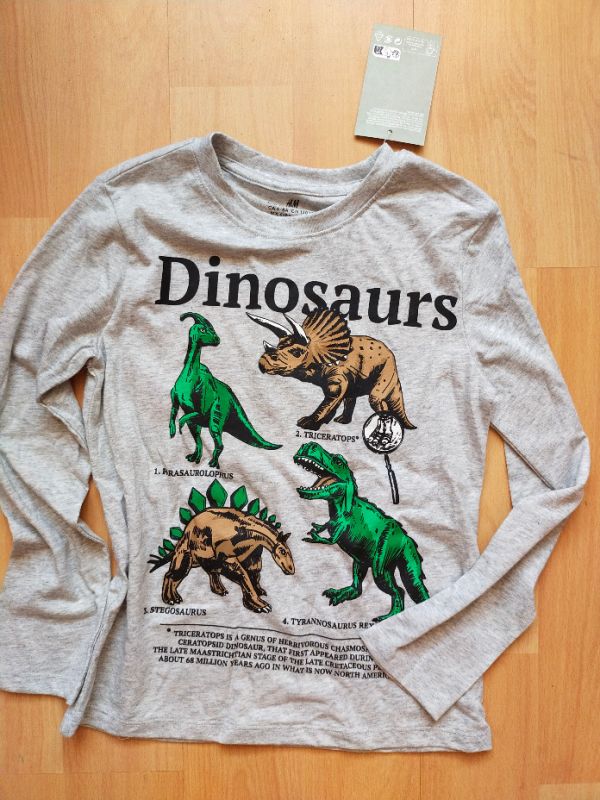 Chlapecké triko - tričko s dinosaury H&M 122/128