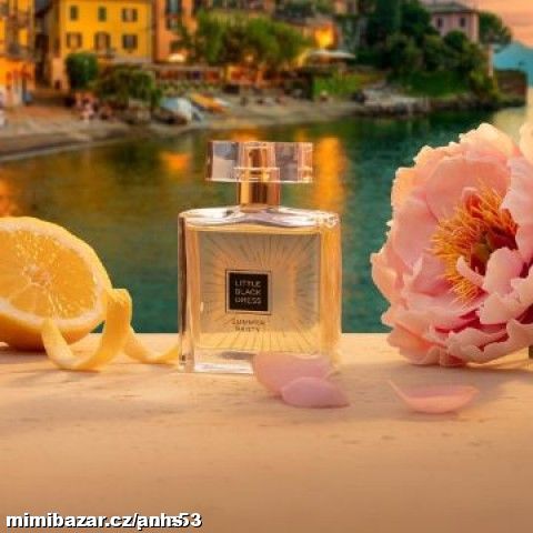 LITTLE BLACK DRESS SUMER PARTY